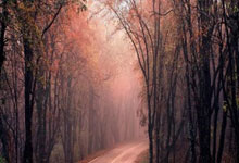 天涯神贴预言楼市：来自网络的神奇预判