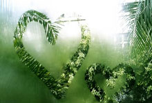 天涯神贴预测股市：那些论坛上的奇人奇贴和股市预言